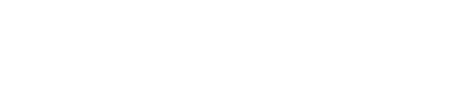 stronisław – projektowanie stron internetowych